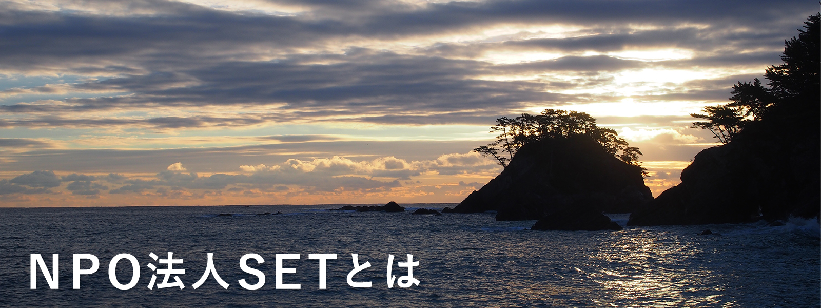 NPO法人SETとは