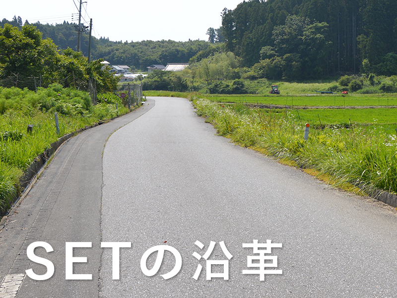 SETの沿革