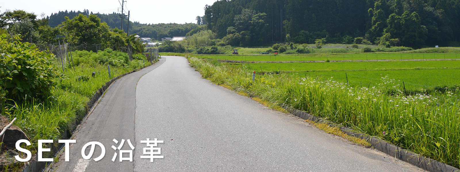 SETの沿革