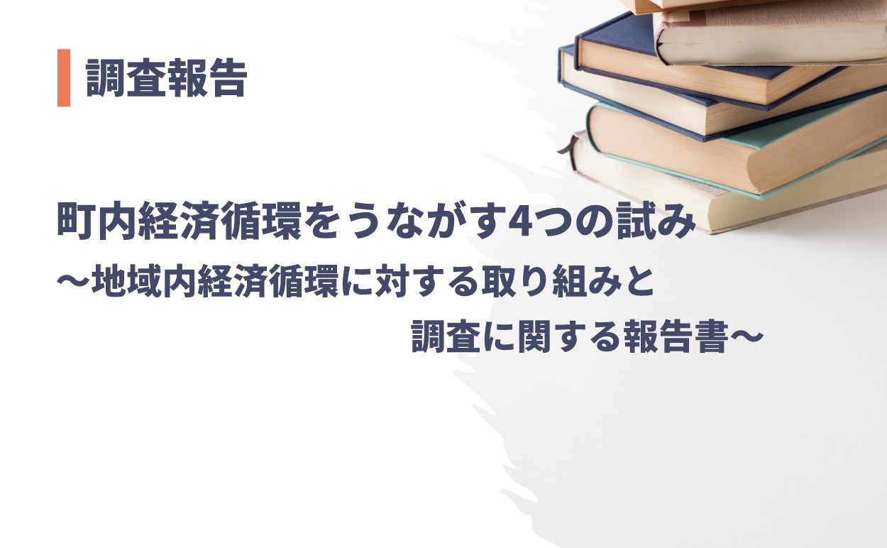 翌日発送・地域経済循環分析の手法と実践 日本政策投資銀行価値